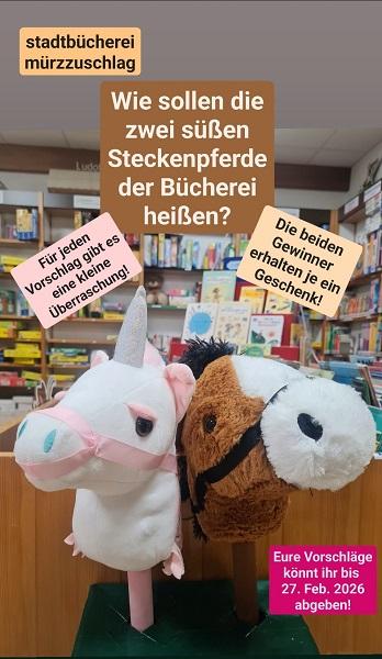 2026_Pferdestall_Hobby Horsing_Namens_Challenge