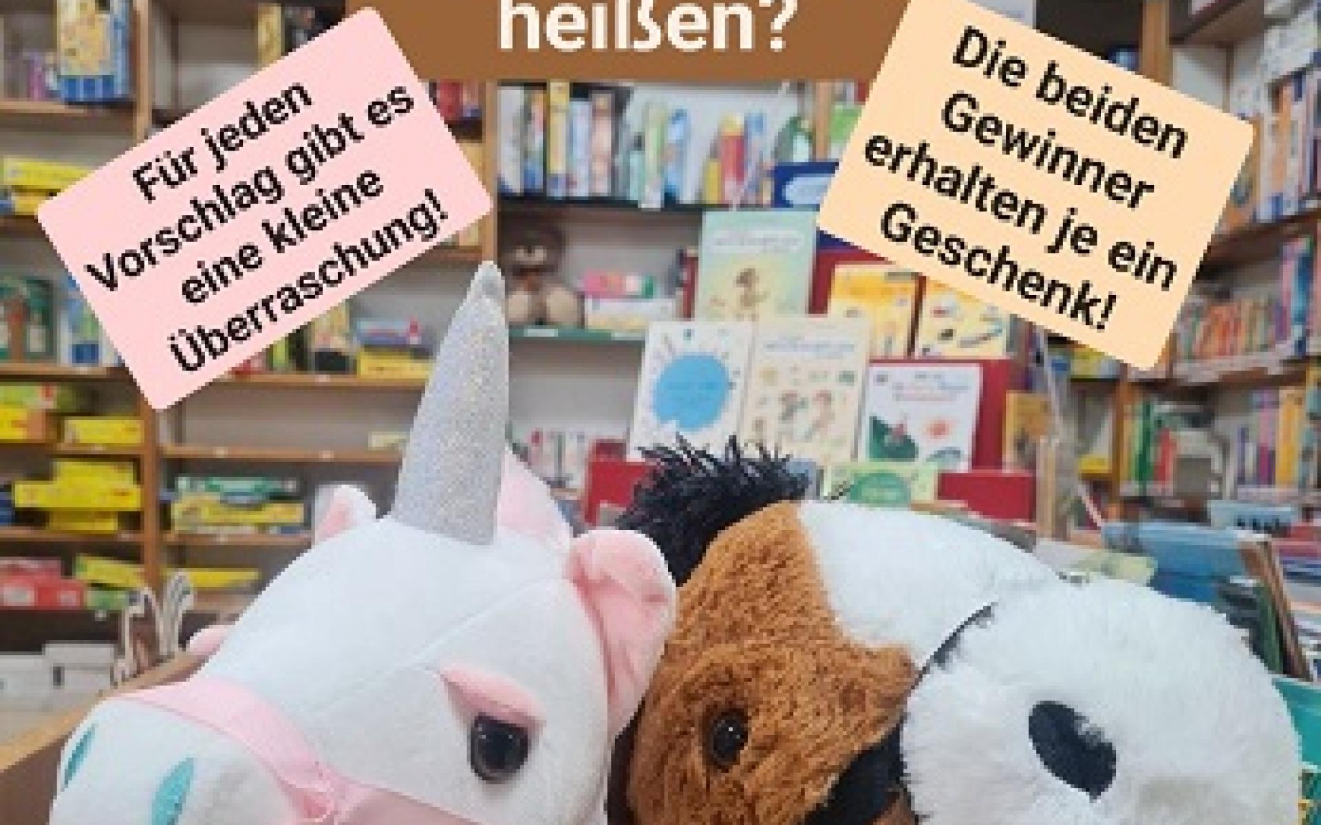 2026_Pferdestall_Hobby Horsing_Namens_Challenge