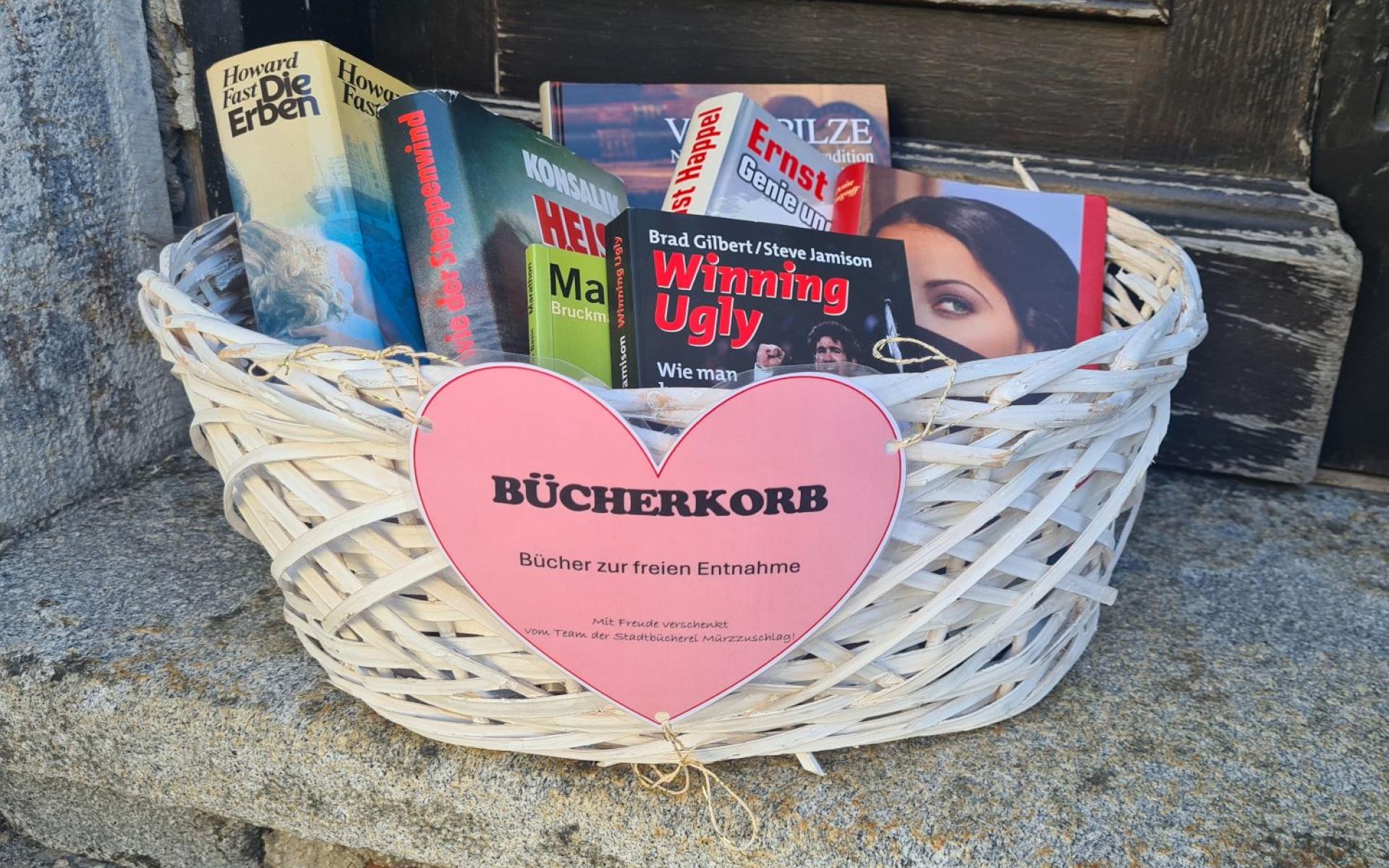 Bücher-Korb