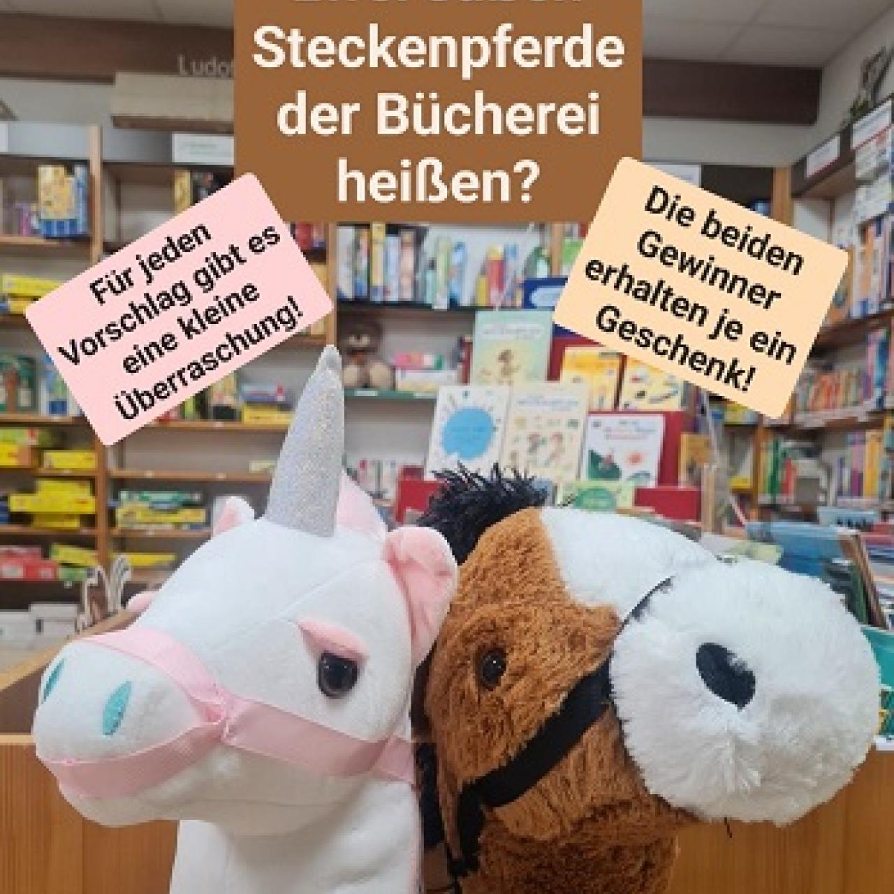 2026_Pferdestall_Hobby Horsing_Namens_Challenge