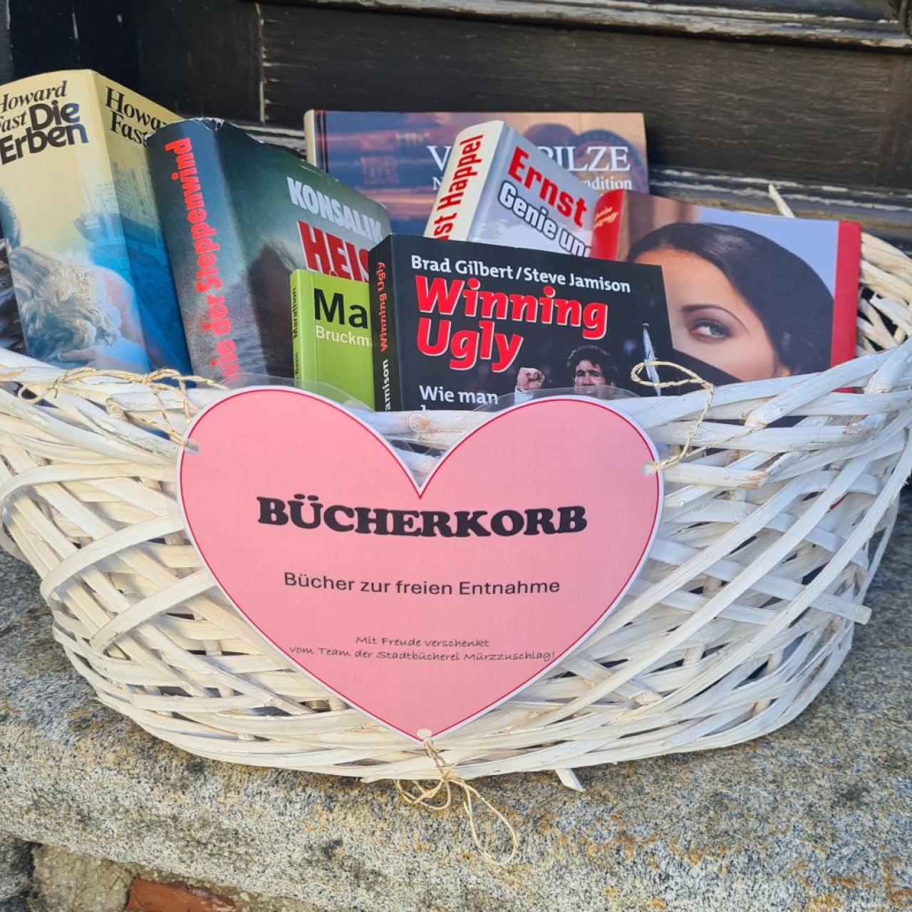 Bücher-Korb